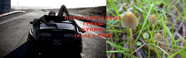 первитин Тобольск