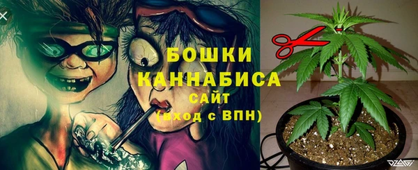 индика Тихвин