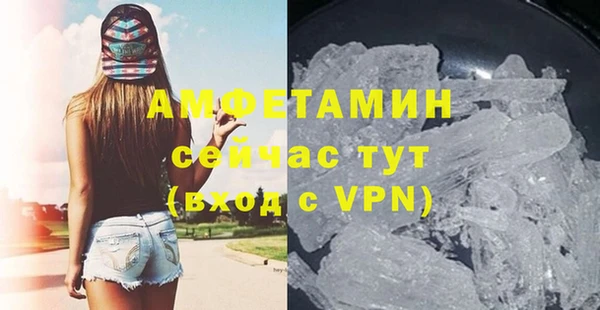 индика Тихвин