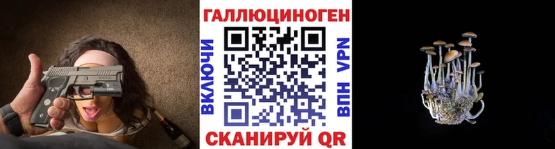 купить наркотики сайты  Назарово  omg как зайти  Псилоцибиновые грибы мицелий 