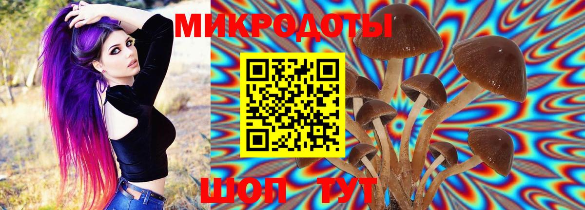 Псилоцибиновые грибы Psilocybe Назарово