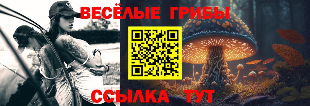 Галлюциногенные грибы GOLDEN TEACHER  как найти закладки  Назарово  Вход с VPN 